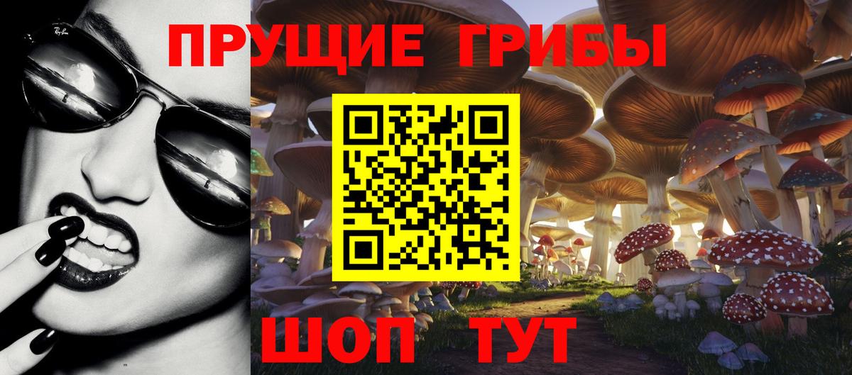 Саранск  Псилоцибиновые грибы ЛСД  Галлюциногенные грибы прущие грибы  Вход с VPN 